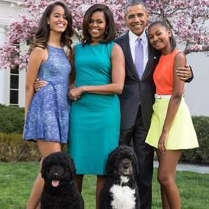 Meet your Posher, Opelle